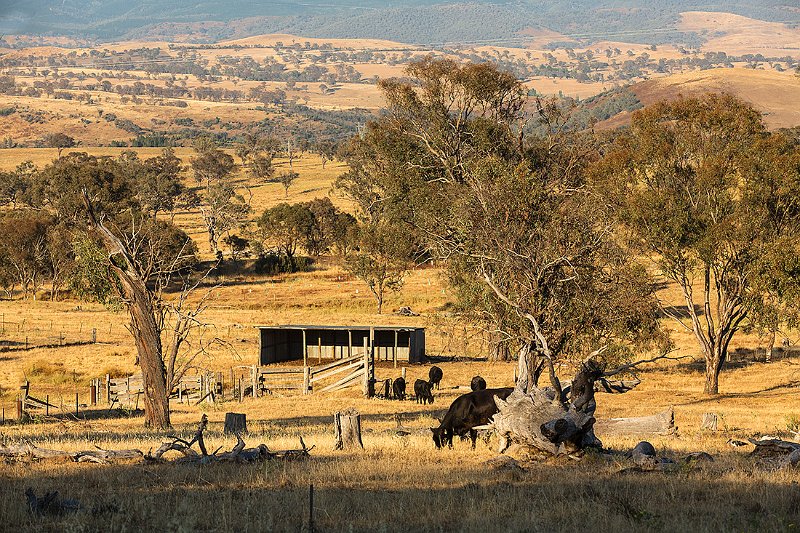 aussie rural.jpg